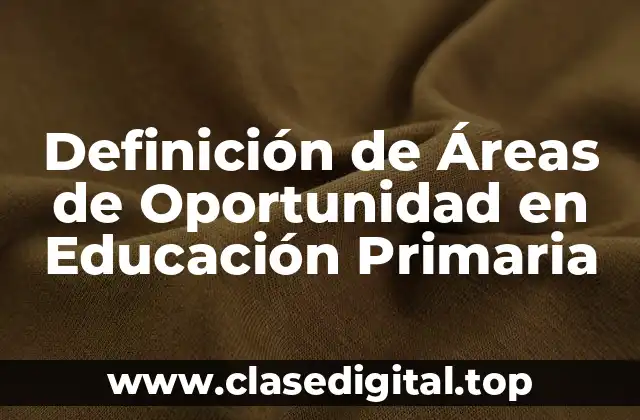 Definición técnica de Áreas de Oportunidad en Educación Primaria