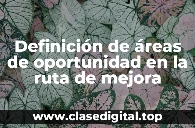 Definición de áreas de oportunidad en la ruta de mejora