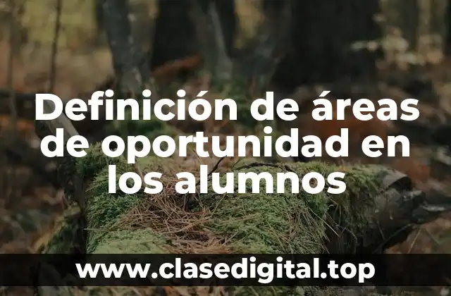 Definición técnica de áreas de oportunidad en los alumnos