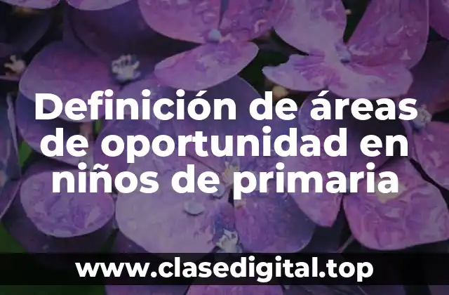 Definición de áreas de oportunidad en niños de primaria