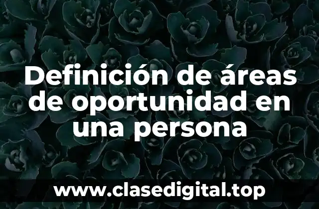 Ejemplos de áreas de oportunidad