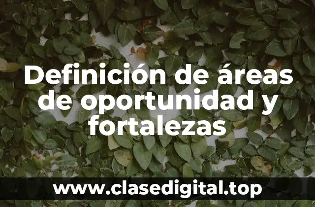 Ejemplos de áreas de oportunidad y fortalezas