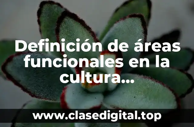 Definición de áreas funcionales en la cultura organizacional