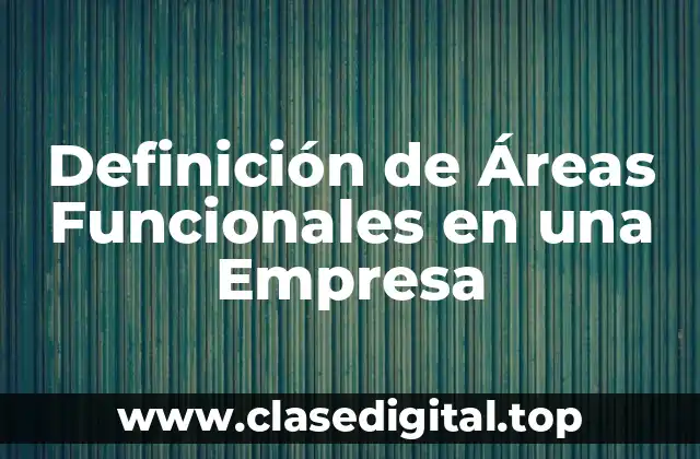 Definición Técnica de Áreas Funcionales en una Empresa