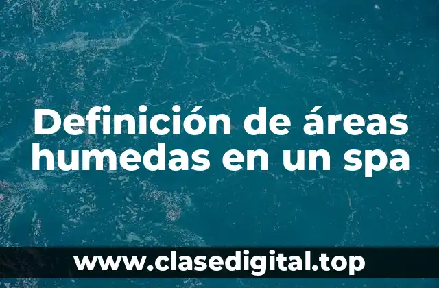 Definición de áreas humedas en un spa
