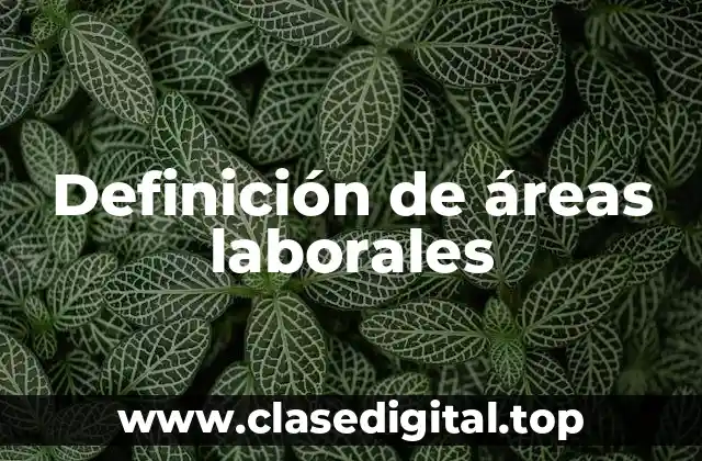 Definición de áreas laborales