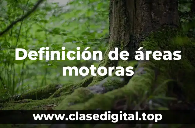 Definición de áreas motoras