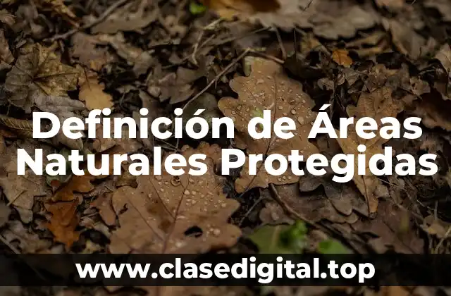 Definición de Áreas Naturales Protegidas