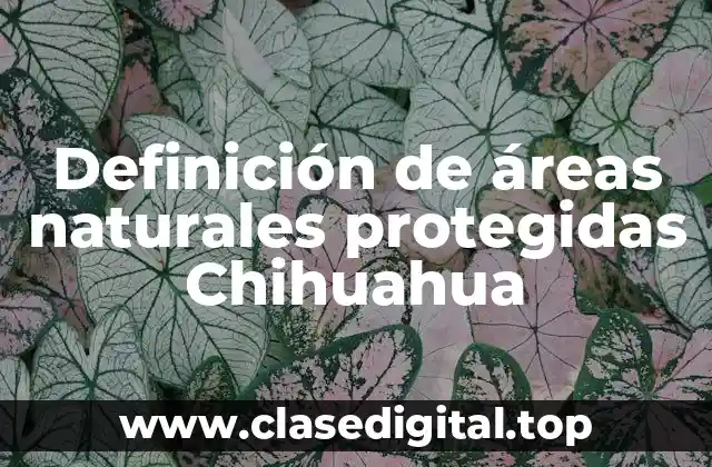 Definición de áreas naturales protegidas Chihuahua