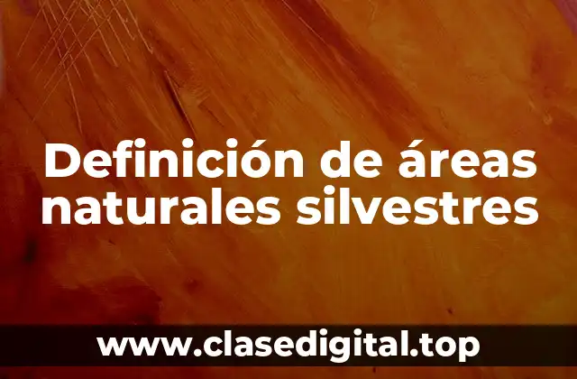 Definición de áreas naturales silvestres