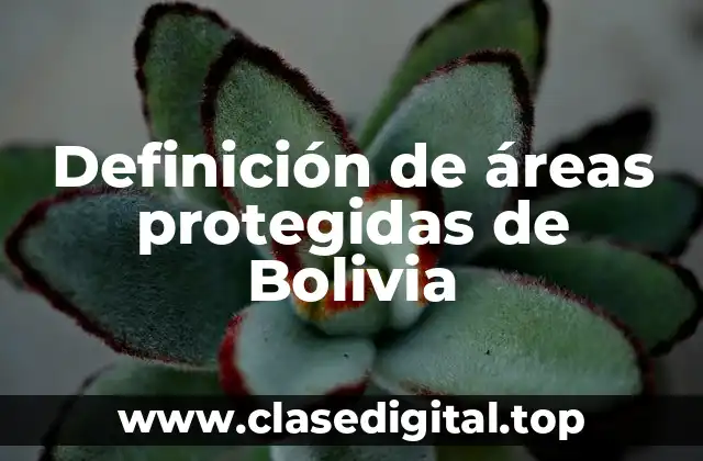 Definición de áreas protegidas de Bolivia