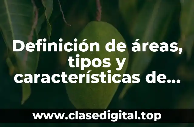 Definición de áreas, tipos y características de una empresa
