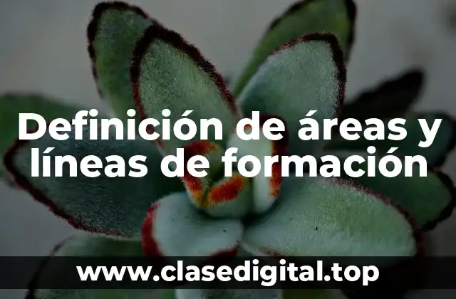 Definición de áreas y líneas de formación
