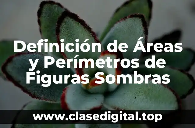Ejemplos de Áreas y Perímetros de Figuras Sombras