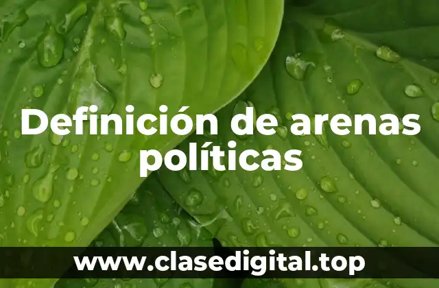 Ejemplos de arenas políticas