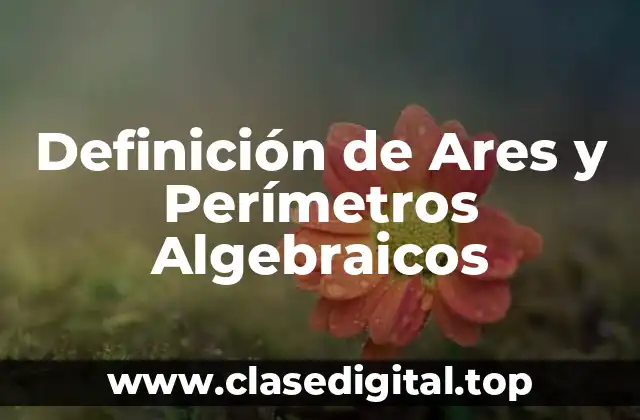 Definición de Ares y Perímetros Algebraicos