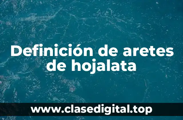 Definición de aretes de hojalata