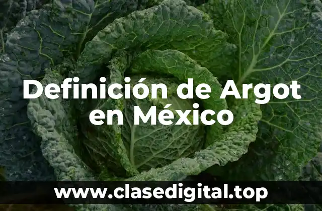 Definición de Argot en México