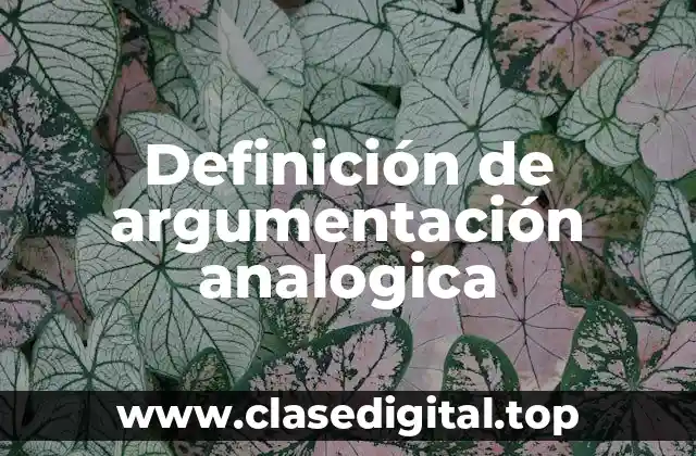 Definición de argumentación analogica