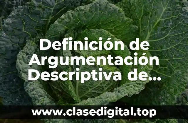 Definición de Argumentación Descriptiva de Toulmin
