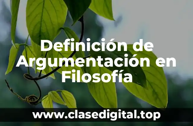 Ejemplos de Argumentación en Filosofía