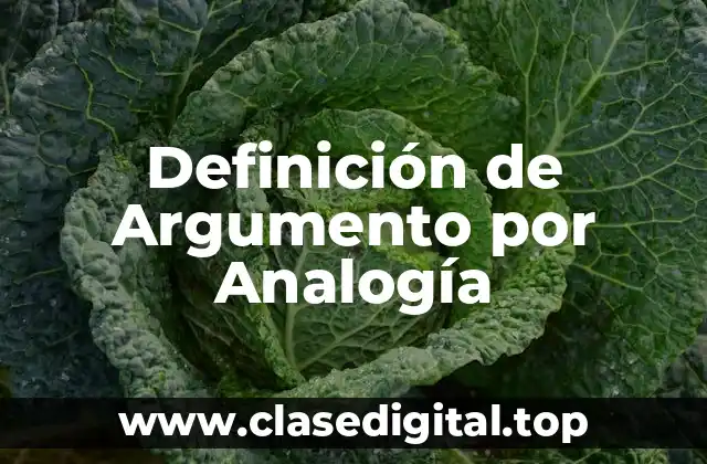 Definición de Argumento por Analogía