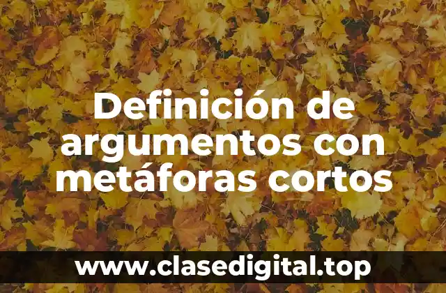 Definición de argumentos con metáforas cortos