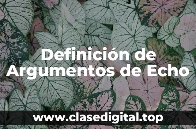 Definición de Argumentos de Echo