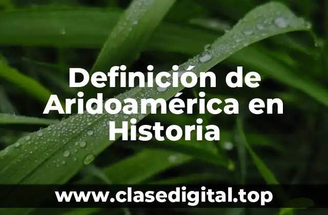 Definición de Aridoamérica en Historia