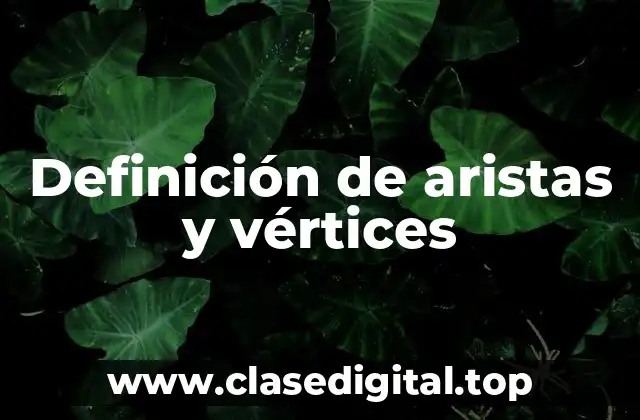 Definición de aristas y vértices