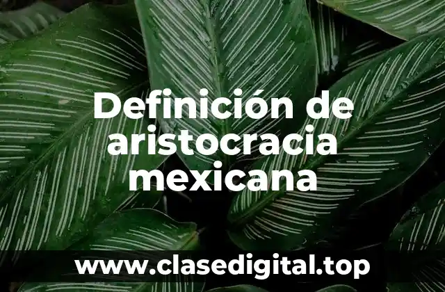 Definición de aristocracia mexicana