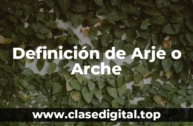 Definición de Arje o Arche