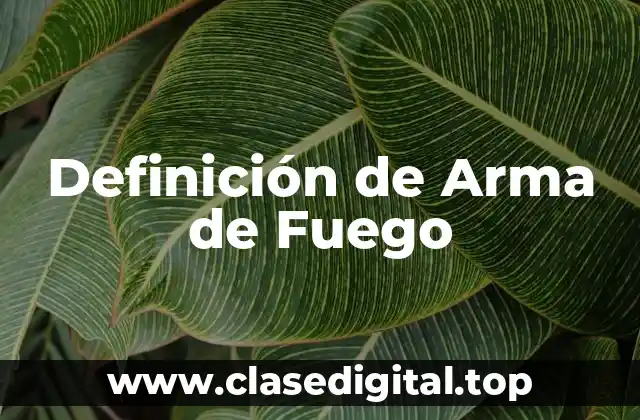 Definición de Arma de Fuego