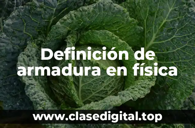 Definición de armadura en física