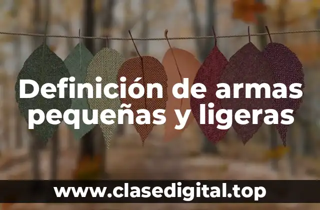 Definición de armas pequeñas y ligeras