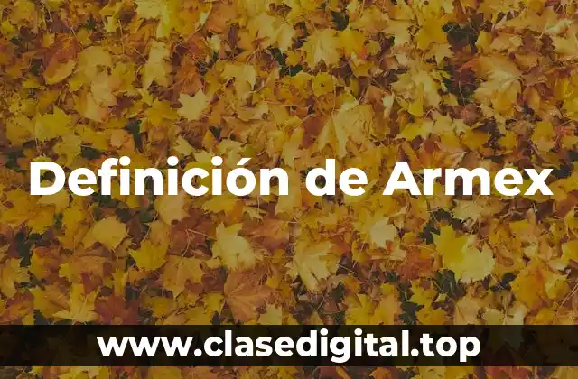 Definición de Armex
