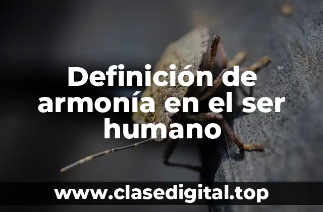 Ejemplos de armonía en el ser humano
