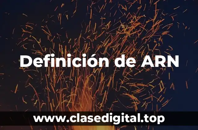 Definición de ARN