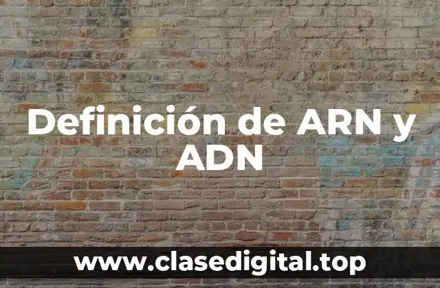 Definición de ARN y ADN