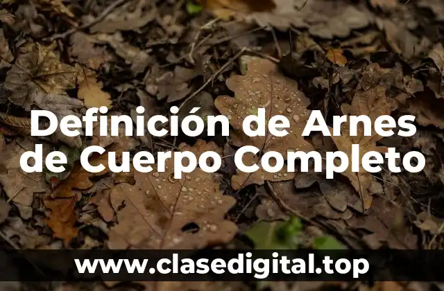 Definición de Arnes de Cuerpo Completo