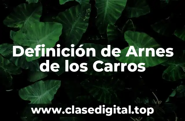 Definición de Arnes de los Carros