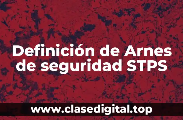 Definición de Arnes de seguridad STPS