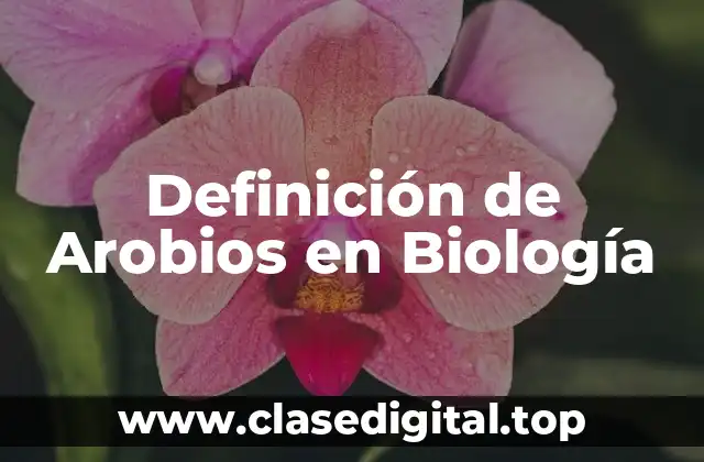 Definición Técnica de Arobios