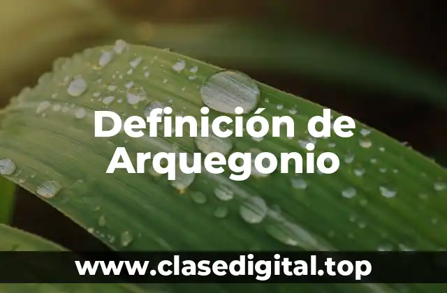 Definición de Arquegonio