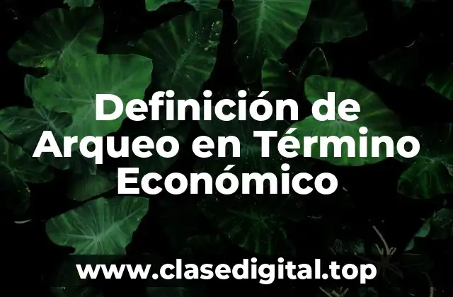 Definición de Arqueo en Término Económico