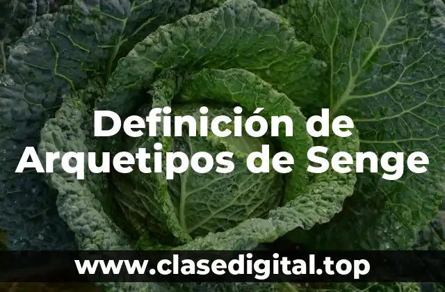 Definición de Arquetipos de Senge