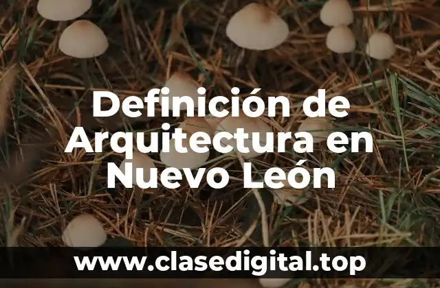 Definición de Arquitectura en Nuevo León