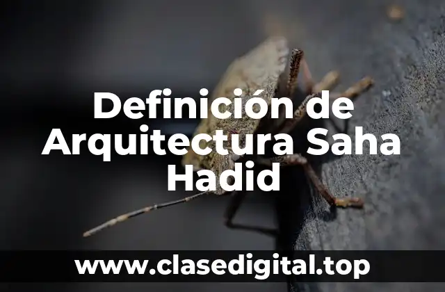 Definición de Arquitectura Saha Hadid