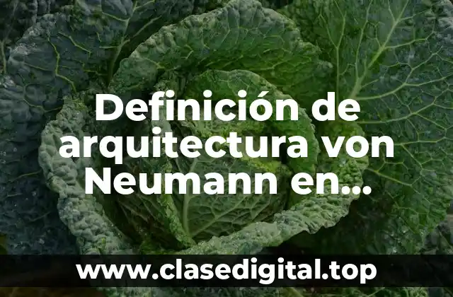 Definición de arquitectura von Neumann en programación