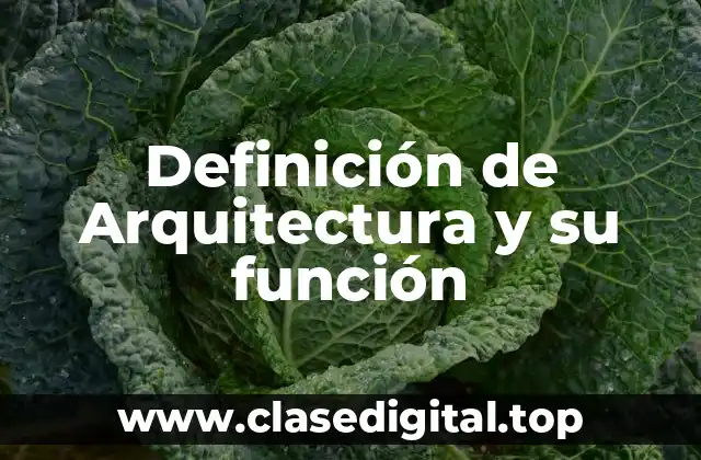 Definición de Arquitectura y su función